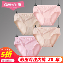Color Fields Pregnant pregnant Pure cotton antibacterial underpants Summer slim size Low waist Toabdominal pregnancy Early pregnancy Midterm Pants Head