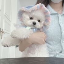 INS style cat dog hat Korean summer autumn mermaid Jee embroidered hat embroidery size Tie pet