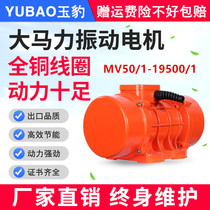  MV50 1-19500 1 Industrial vibration motor 380v three-phase asynchronous vibration motor cutting vibrator National standard