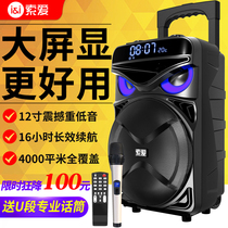 Sony Ai T50 Square Dance Audio Mobile Rod Speaker High Power with Display Wireless Microphone Home K Song
