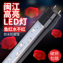 Minjiang original fish tank light aquarium three-color LED tube super bright lighting tube Dragon Fish waterproof T8 tube