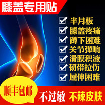 Knee Accumulation Liquid Stagnant Water Half Moon Board Repair Ligament Tear Patch Paste Slip Film Stick Knee Joint Pain Theyzer Cream