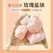 Hedgehog Squirrel Flower Branch Mouse Rabbit Dutch Pig Parrot Trace Element Mineral Malaya Rose Salt Brick Licking