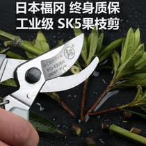 Japan Fukuoka coarse branch scissors Fruit tree scissors Flower botanical garden art pruning Household mulberry scissors Powerful arrow knife tool