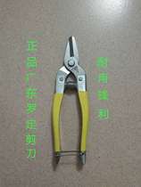 Guangdong Luoding stainless steel fruit cutting sugar orange small yellow scissors fruit cutting small large round head fruit cutting