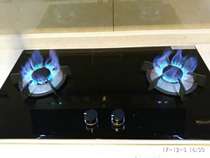 Forest gas stove