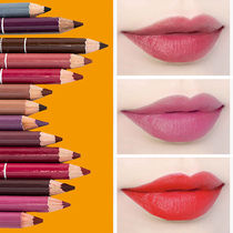 5) hot sale Snow White lip liner pen deep coffee brown Black Rose Red Eyebrow pencil eyeliner 28 Color