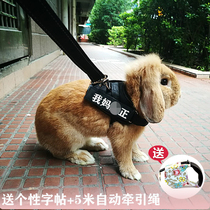 Rabbit Traction Rope Vest Type of Rabbit Rope Chest Harness Rabbit chain Kitty Tow Rabbit supplies Rabbit Rope