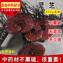   New Changbai Mountain Purple Ganoderma Lucidum semi-wild Ganoderma Lucidum tablets Nyingchi specialty 500g wholesale Ganoderma lucidum