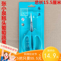 New boutique Zhang Xiaoquan grape scissors stainless steel straight head repair fruit and vegetable pot gardening garden scissors
