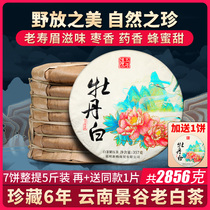 6 years white Peony Gongmei Shou Mei Old white tea Yunnan Jinggu White Tea Qizi Cake Tea pressed white tea cake 5 pounds