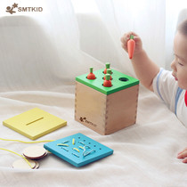 Montbeech wood solid wood radish plug toy fine action for baby 1 - 2 years old love very