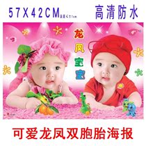 Twins stickers cute baby posters picture bedroom wall with beautiful dragon and crested dolls drawing like a preparation for gestation