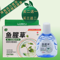 Houttuynia eye drops Eye drops relieve eye fatigue myopia Anti-inflammatory antibacterial eye dryness swelling pain and itching Eye care liquid