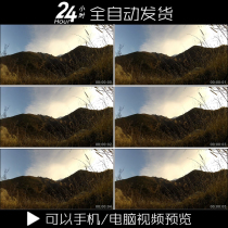 Wild mountains wilderness wilderness wild weeds weeds real shots weeds real shots video material