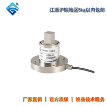 Anhui Tiangang Sensor Static Torque Sensor TJN-5 Torque Sensor