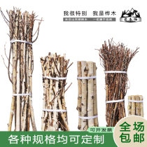 Birch tree branch tree branch tree branch kindergarten diy handcraft landscaping decorative railing natural small sticks