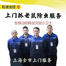 Door-to-door catching mice and rat-catching companies to kill cockroaches fleas termites and centipedes household rodent control services
