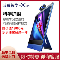 Blueberry Wisdom 15 6 Inch Vertical Big-screen Learning Tablet Teaching Home Teaching Early Education Eye Care All-in-one