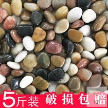 5kg pebbles rain flower stone raw stone natural small stone stone fish tank flower pot decoration colorful goose soft stone paving road