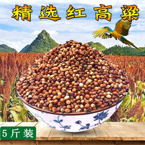 Red sorghum with skin wine sorghum rice Bird food Pigeon feed Spotted cockatoo parrot Hamster bird food Pigeon food 5 pounds
