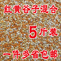Red millet yellow millet millet millet green bird tiger skin peony parrot bird food bird food feed 5kg