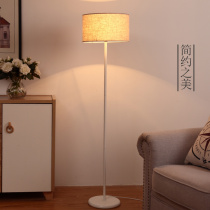 Floor lamp minimalist light luxury ins Wind Net red Nordic living room bedroom sofa warm modern simple vertical table lamp