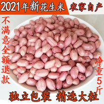 2021 fresh farm self-produced peanuts pink skin selection of large grain peanut millet snacks bulk