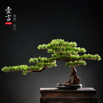 Welcome pine simulation green bonsai pokan pine potted office living room hotel soft decoration Zen home furnishings