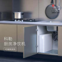 The Rebve Series Kitchen Net Drinking Machine