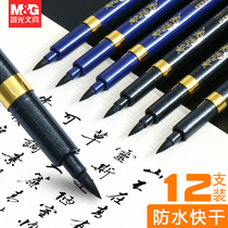 Chenguang stationery Xiuli pen brush calligraphy practice writing pen type soft pen copy invitation signature pen Primary School students big letter small letter adult copybook beginners special hard pen hand-painted Signature Pen