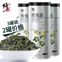 3 cans of correction of Gynostemma tea official flagship store Apocynum