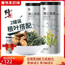 Correction of dandelion tea non-wild dandelion root Pu Gongying tea mother-in-law Ding Pu Gongying non-super grade