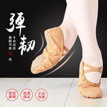 Childrens dance shoes soft soles girls cats paws adult dancing shoes canvas yoga shoes ballet shoes