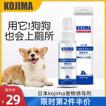 Japan kojima Pet Inducers pooch Toilet Pinpoint Defecation Inducers Dog Bowels dog urine guiding liquid