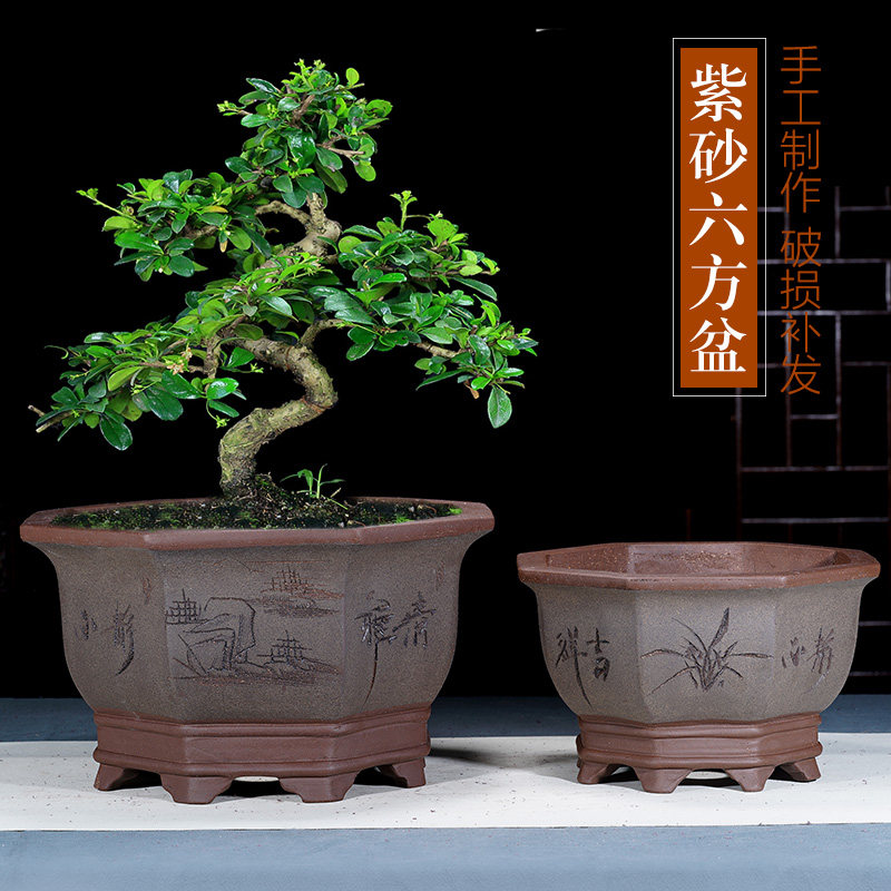 八方紫砂花盆 多肉植物鉢 紫砂鉢 盆栽鉢 植木鉢 小品盆栽鉢 大品盆栽鉢 八方紫砂花盆-八方紫砂花盆促销价格、八方紫砂花盆品牌- 淘宝