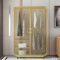 Nordic Iron Storage Wardrobe Homestay Small Family Grid Gold Girls Single and Double Door Metal Girls Display Wardrobe