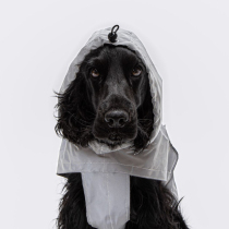 Dog raincoat Cloud7 German imported Berlin reflective coating cap Light Adjustable assault jacket waterproof