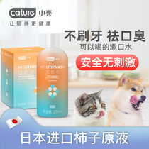 Small shell dog cat tooth cleaning water edible mild non-irritating to clear mouth odor pet 100 250ml