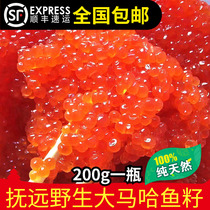 Fuyuan wild salmon seed high quality wild fish seed fresh Maha caviar northeast specialty