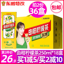 Dongpeng special drink by citrus Lemon Tea 250ml*18 boxed whole box lemon flavor Net Red fruit flavor drink Tea ready-to-drink