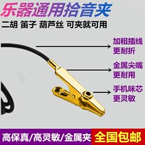 Wonderful metal tip pickup clip High fidelity Erhu flute Gourd silk Pipa violin instrument