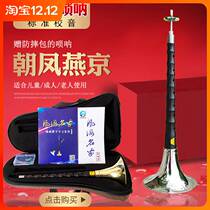 Flagship store] Suona musical instrument beginner full set of Ebony Rosewood D-tune large medium and small adult novice introduction