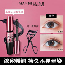 Maybelline powder fat man curl waterproof mascara female curl non-dizzying makeup big name official