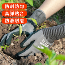Breathable protective gloves gardening wear-resistant non-slip stab-proof waterproof multi-functional mens and womens gloves labor insurance gloves