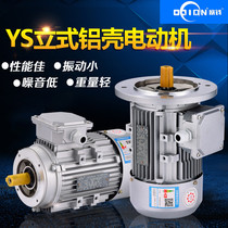 Three-phase asynchronous aluminum shell motor YS63 7124 180 250 370 550 750W Reducer motor 220V
