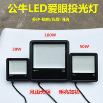 Bull led floodlight outdoor waterproof super bright project special outdoor 50W lighting courtyard 100W projection light