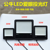 Bull Led Floodlight Outdoor Waterproof Super Bright Engineering Special Outdoor 50W Floodlight Courtyard 100W Projection Lamp