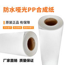 180g 210g high density waterproof double dumb PP synthetic paper roll album interior page poster X display stand double ink printing
