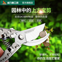 Power Lion gardening scissors pruning shears fruit tree rough shears SK5 steel labor saving household flower peeler garden tools